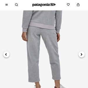 Like New Patagonia Fleece Pants